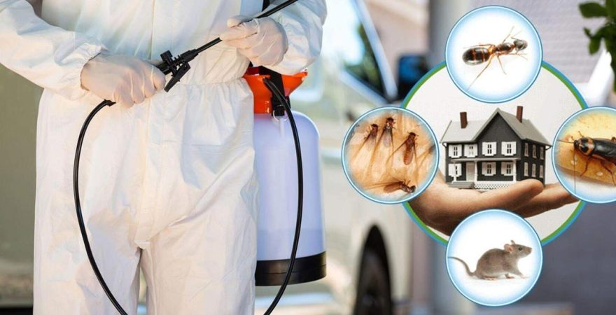 Derinkuyu Böcek İlaçlama