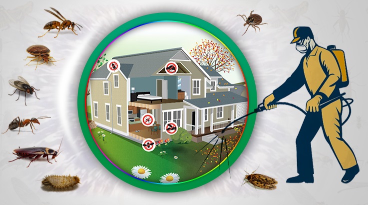 Derinkuyu Böcek İlaçlama