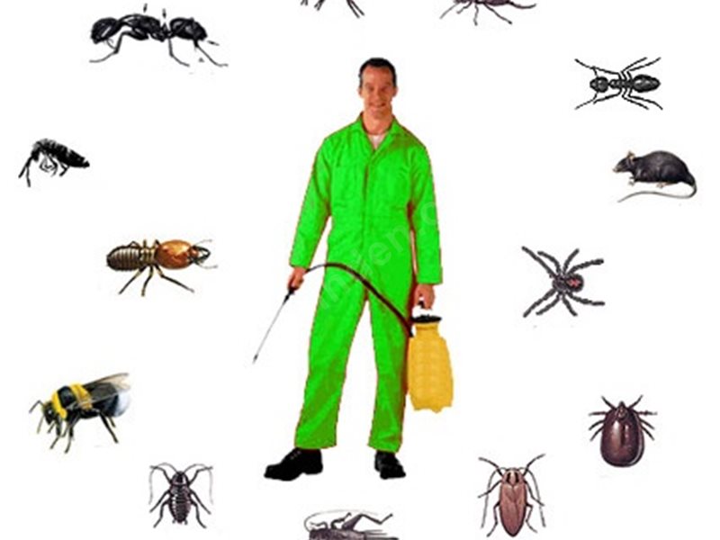 Derinkuyu Böcek İlaçlama